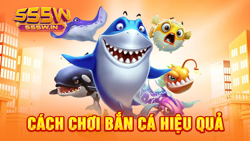 Cách chơi bắn cá hiệu quả

